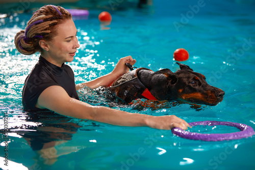Schilderij op canvas Dog in life jacket swim in the swimming pool with coach