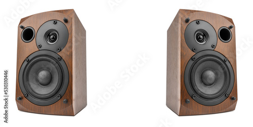 Music speakers on white background. Audio technica. Bookshelf speaker system for home entertainment.