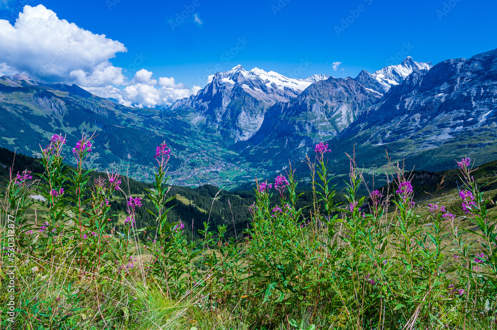 valley of Grindelwald