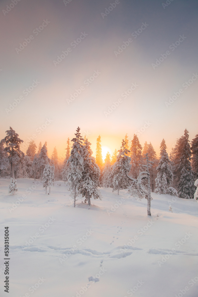 View of the snowy landscape of Finnish tundra during sunrise in Rovaniemi area of Lapland region above the Arctic Circle. Frosty morning in pristine nature. Sunrays passing through the forest View of the snowy landscape of Finnish tundra during sunrise in Rovaniemi area of Lapland region above the Arctic Circle. Frosty morning in pristine nature. Sunrays passing through the forest