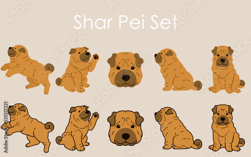 Simple and adorable Shar Pei Dog illustrations set photo