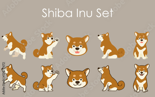 Simple and cute brown Shiba Inu illustrations set