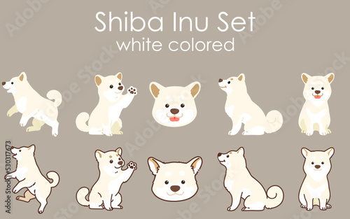 Simple and cute white Shiba Inu illustrations set