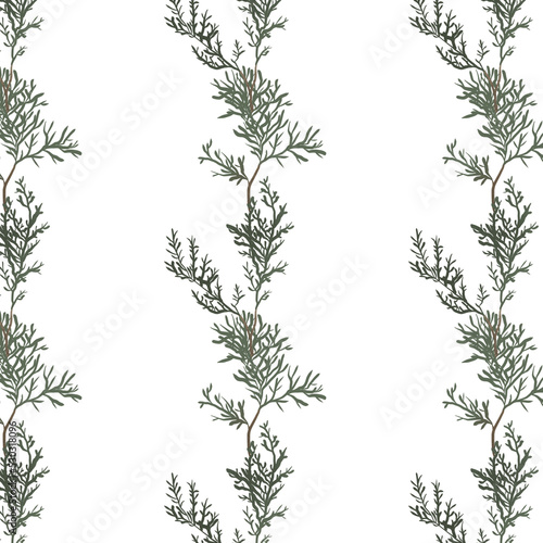 Christmas pattern with fir  pine fir branches  hand drawn vector illustration  winter holiday background