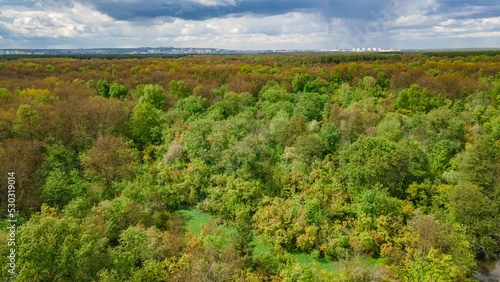 aerial photography of rural nature