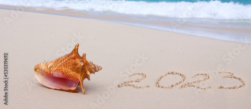 New Year 2023 is coming concept on tropical beach with seashell