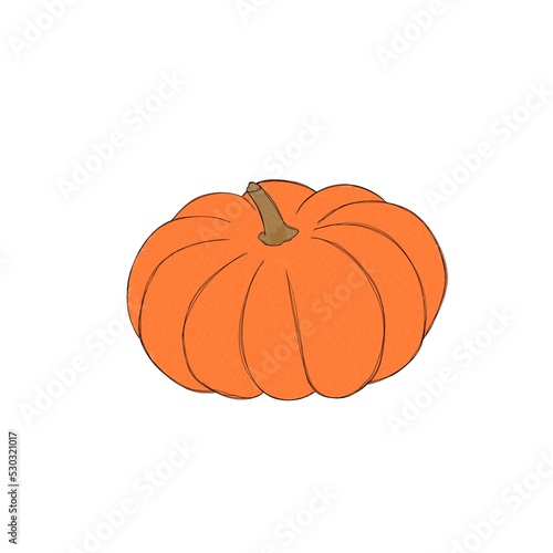 Pumpkin watercolor drawing free hand. Pumpkin for Thanksgiving. Bright pumpki...