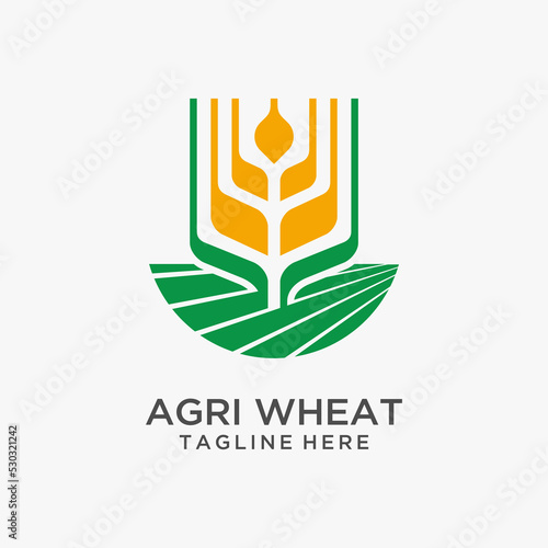 Agriculture wheat logo design