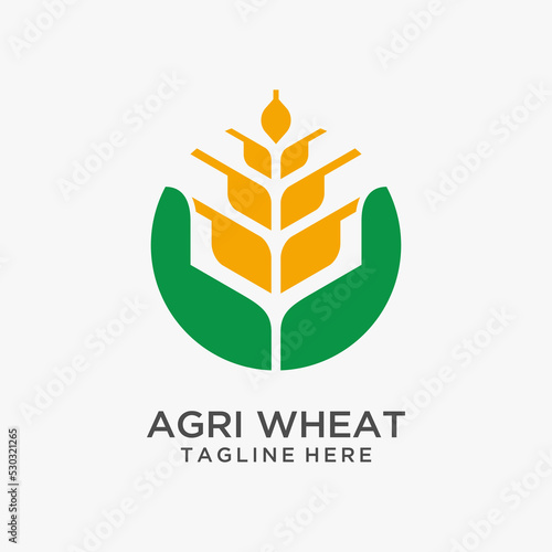 Agriculture wheat logo design