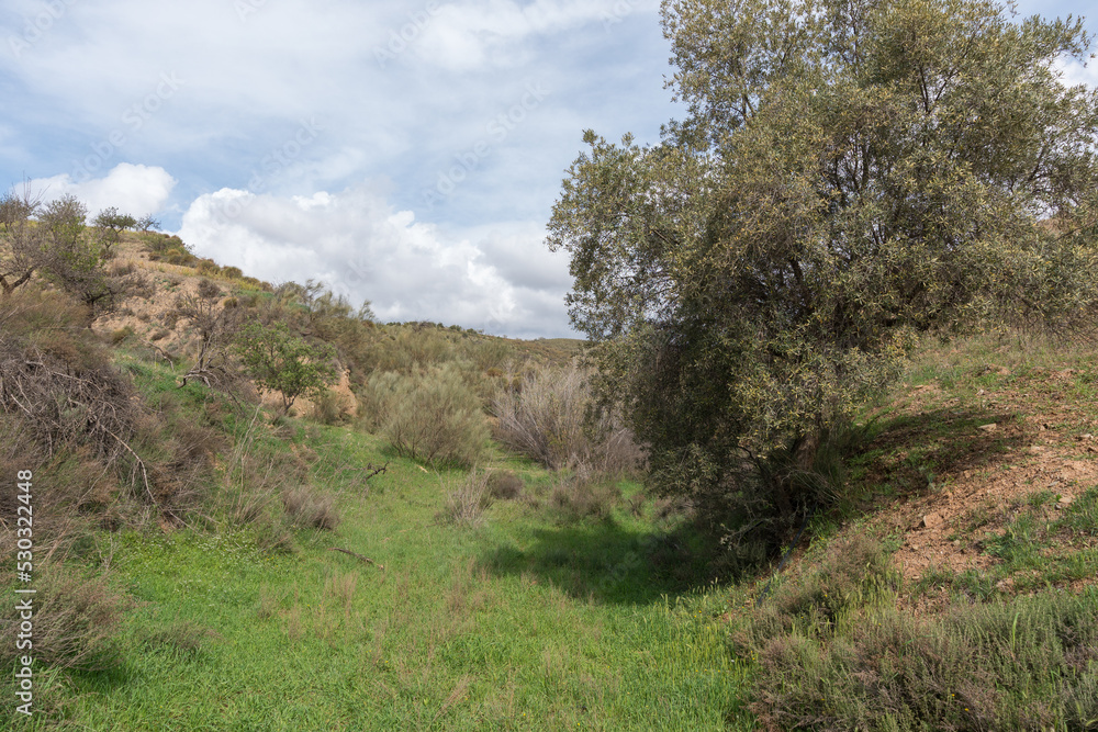 mountainous area in the south of Spain mountainous area in the south of Spain