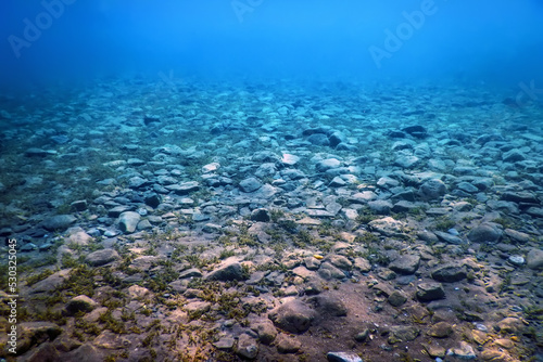 Fotografie Rocks and Pebbles, pebbles below water