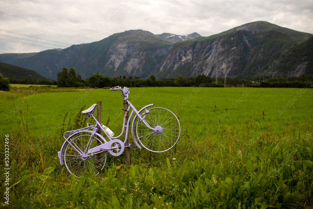 Fototapeta premium Beautiful colorful bikes along the road in Norway, used for decoration