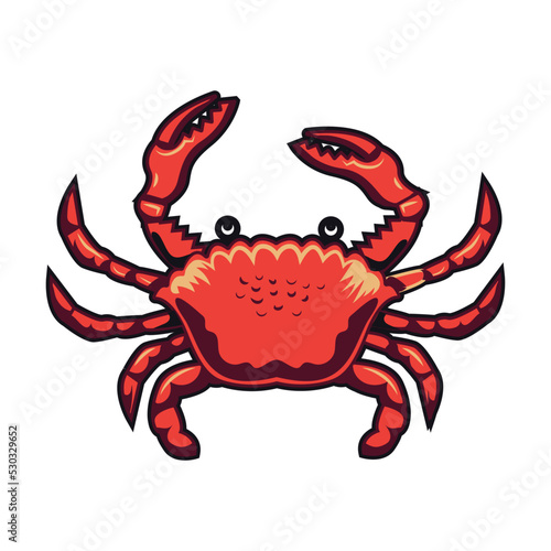 Sea crab. Maritime and nautical element illustration. Vintage design with sea animals, ship, wave, anchor, pipe and bell isolated vector. Marine objects and accessories