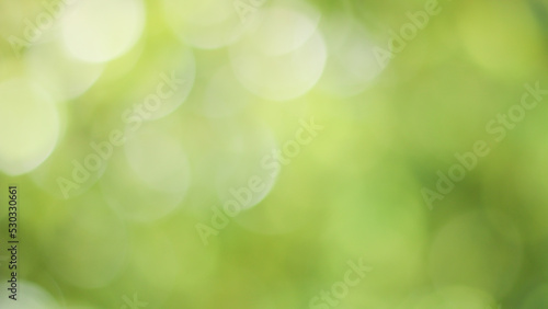 Sunny abstract green nature background  Blur park with bokeh light   nature  garden  spring and summer season