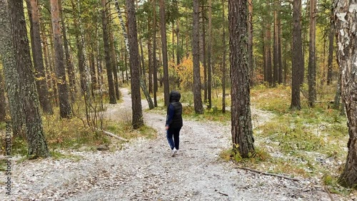 Wallpaper Mural A woman walks through the autumn forest. Torontodigital.ca