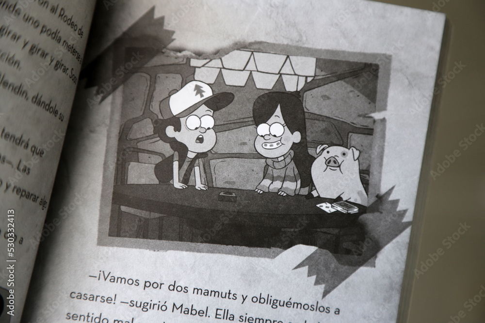 Gravity Falls Picture Book A Summer of Mysteries. Twin brothers Dipper