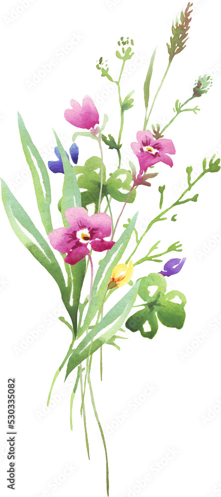 Wildflowers bouquet. Watercolor clipart	

