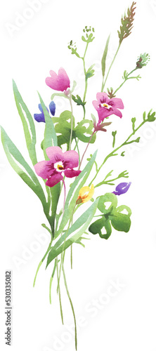 Wildflowers bouquet. Watercolor clipart  
