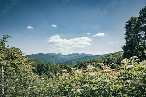 Plakat w ramie Bieszczady