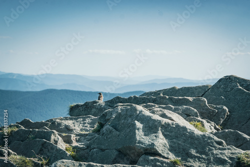 Plakat w ramie Bieszczady