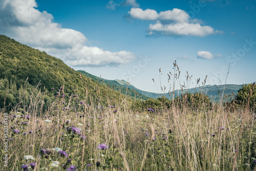 Plakat w ramie Bieszczady
