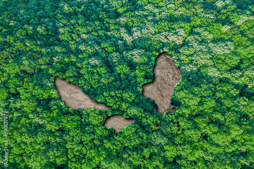 Sustainable habitat Map of Wallis and Futuna photo