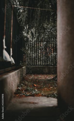 Wallpaper Mural Podwórko Torontodigital.ca