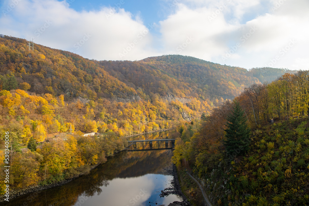 Panoramic view of a forest on the slope in autumn with colorful leaves