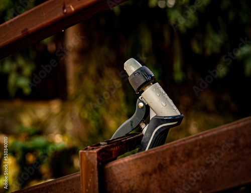 Wallpaper Mural Wąż ogrodowy Torontodigital.ca