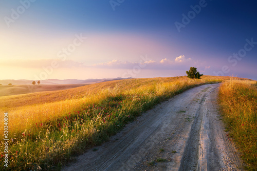 Autumn Italian rural landscape in retro style; Panorama of autumn field with dirt road and cloudy sky.