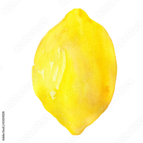 Hand drawn watercolor vector lemon isolated on white background. Fruit lemon vector illustration