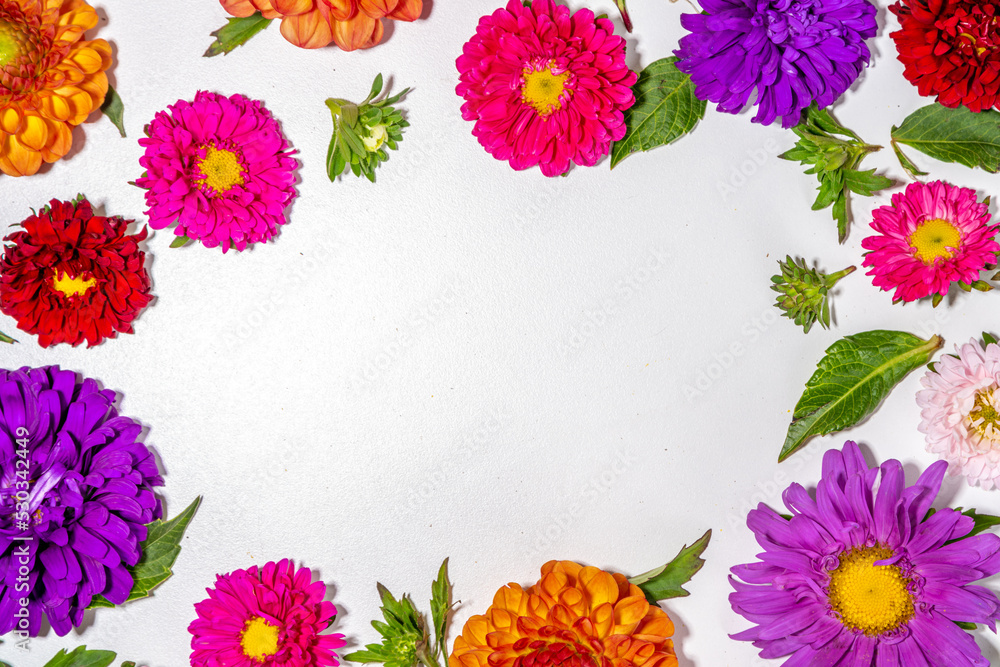 Fototapeta premium Autumn flowers flatlay background. Bouquet of colorful chrysanthemum, peonies (orange, purple, yellow, red) flowers on white background, frame border for greeting card top view copy space for text