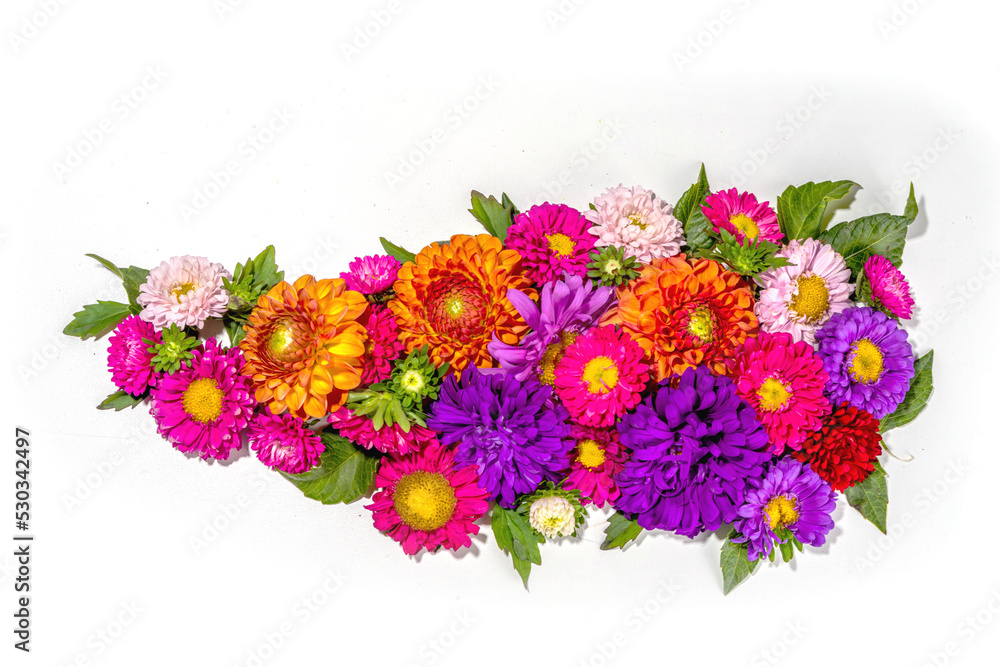 Obraz premium Autumn flowers flatlay background. Bouquet of colorful chrysanthemum, peonies (orange, purple, yellow, red) flowers on white background, frame border for greeting card top view copy space for text