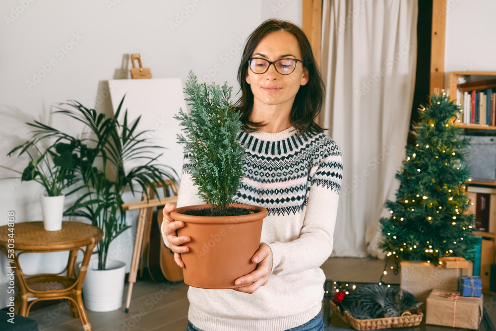 Woman decorating with christmas decorations houseplant Cypress or Thuja Sapling in the pot for winter holidays - Christmas and New Year.