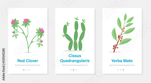 Three vector banners of food suplements. Isolated vertical onboarding templates with botanical pictures