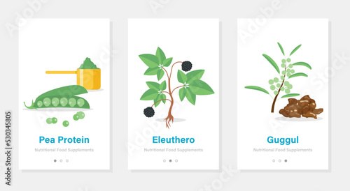 Vertical vector banners with nutritional food supplements. Isolated onboarding templates with herbs