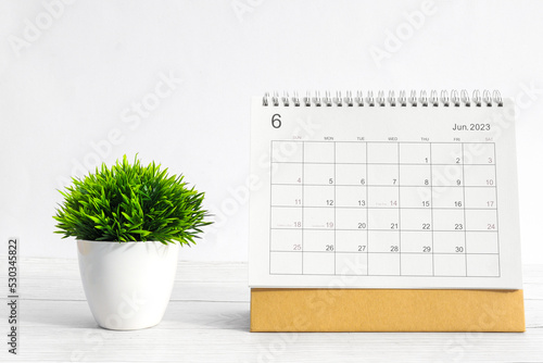 june 2023 Desktop calendar for planners and reminders on wooden table with plant pots on a white background. photo