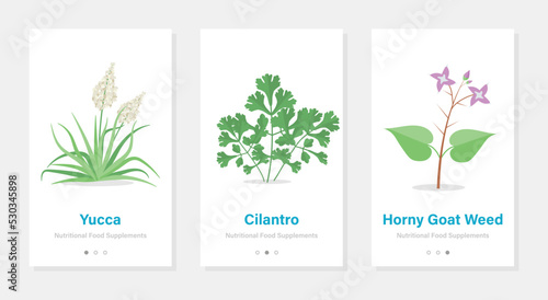 Vertical vector banners with nutritional food supplements. Isolated onboarding templates with herbs
