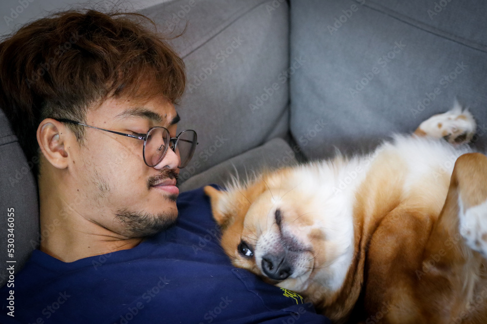 A man and a dog relax sleeping with the owner together on sofa couch in living room home interior background.