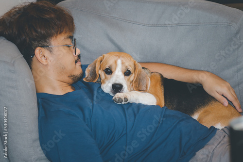 Obraz na płótnie A man and a beagle dog relax sleeping with the owner together on sofa couch in living room home interior background. w salonie
