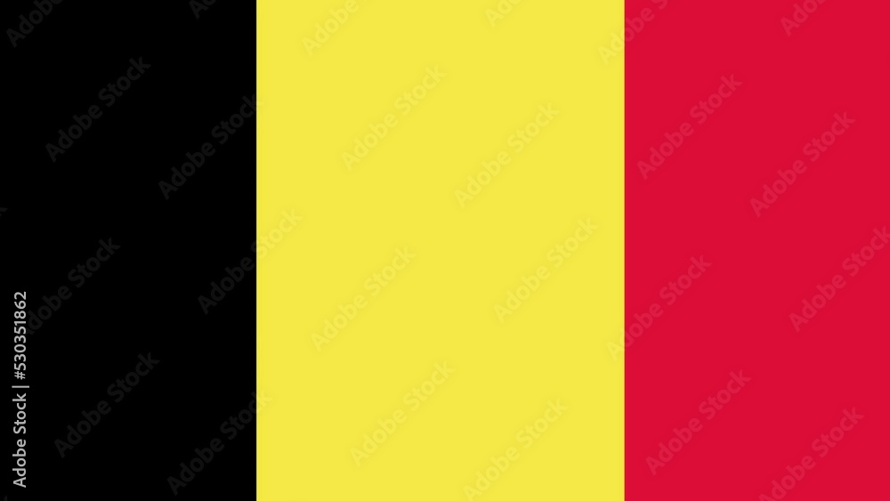 Flag of the Kingdom of Belgium moving sideways, slow motion, close-up.
Flag of the Kingdom of Belgium moving sideways, slow motion, close-up.