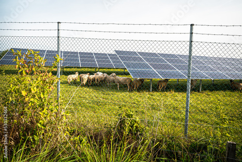 Renewable energy from solar panels in a solar park to generate clean energy.