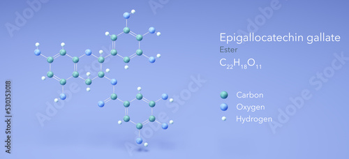 epigallocatechin gallate, egcg, molecular structures, 3d model, Structural Chemical Formula and Atoms with Color Coding photo