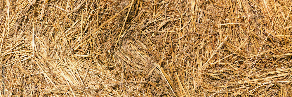 Haystack close-up. Straw texture background close up. Harvest concept. Banner Haystack close-up. Straw texture background close up. Harvest concept. Banner