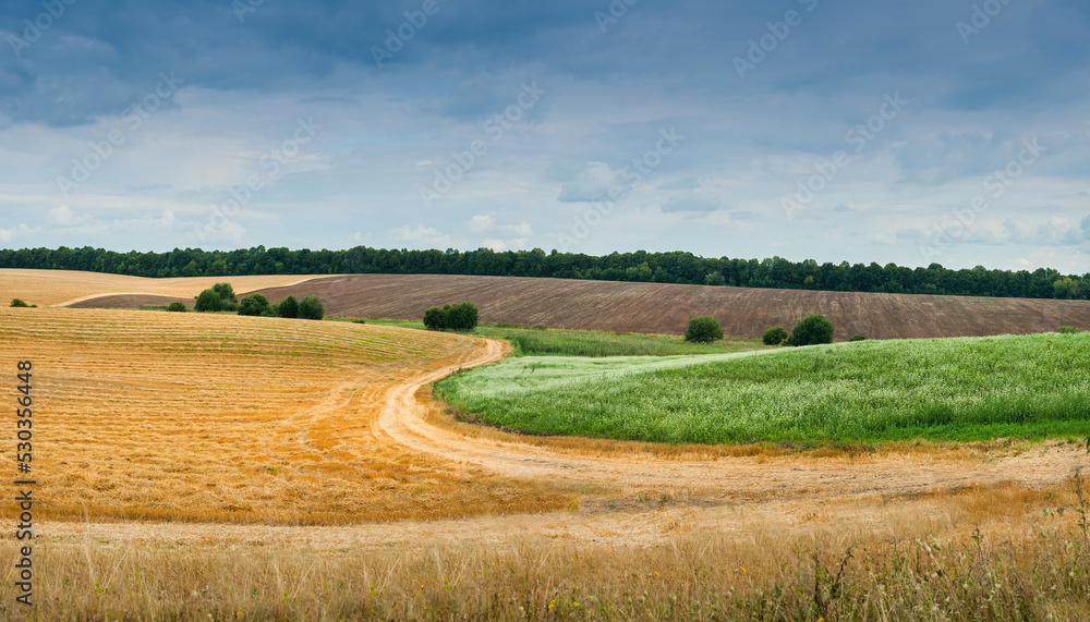 panorama of fields with border between yellow and green field like summer and autumn time after harvest panorama of fields with border between yellow and green field like summer and autumn time after harvest