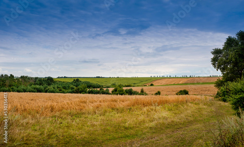 agricultural land, autumn landscape of fields after harvest