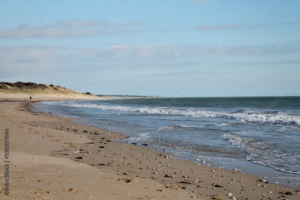 Balade en bord de plage 