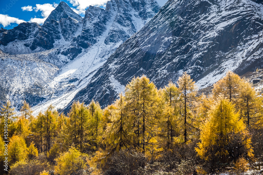 autumn scenery in Bipenggou valley InSIchuan China autumn scenery in Bipenggou valley InSIchuan China