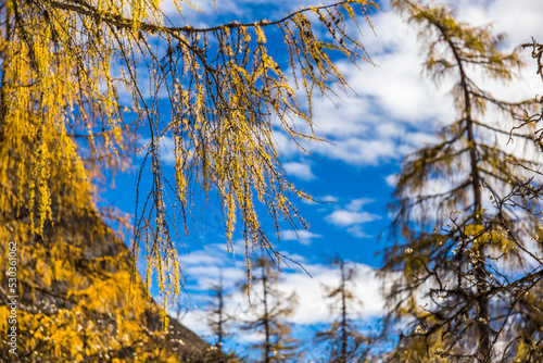 autumn scenery in Bipenggou valley InSIchuan China photo