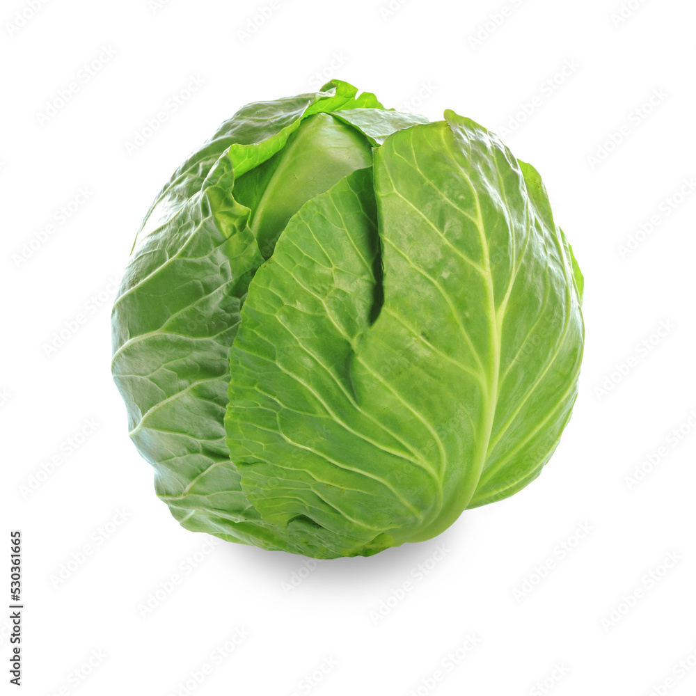 Fresh head of green organic cabbage isolated on a transparent background. Fresh head of green organic cabbage isolated on a transparent background.